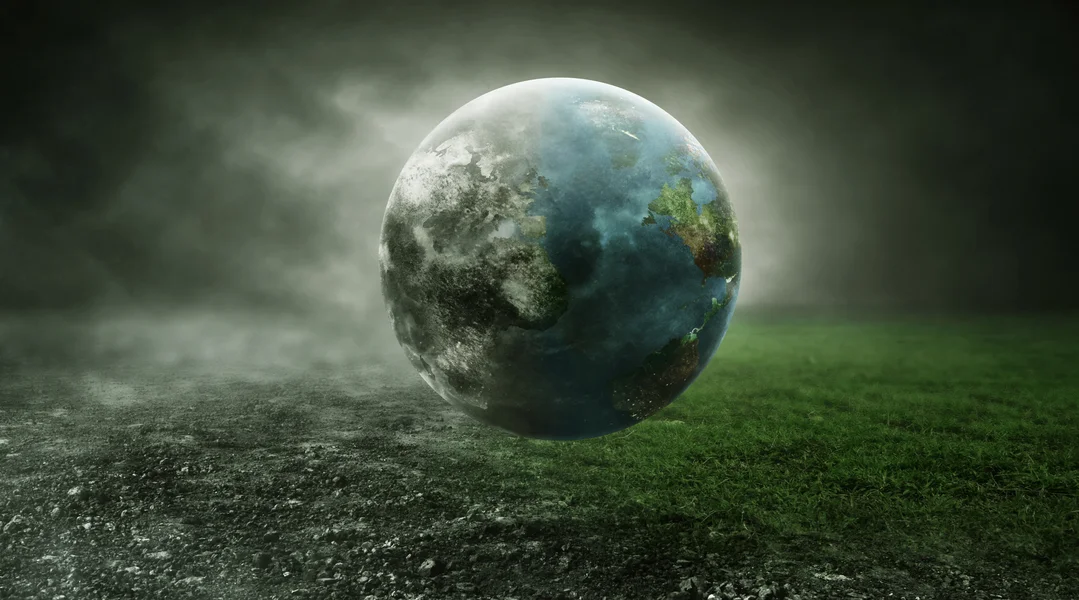 D'Zerstéierung vun tropesche Bëscher erreecht en neie Rekord 