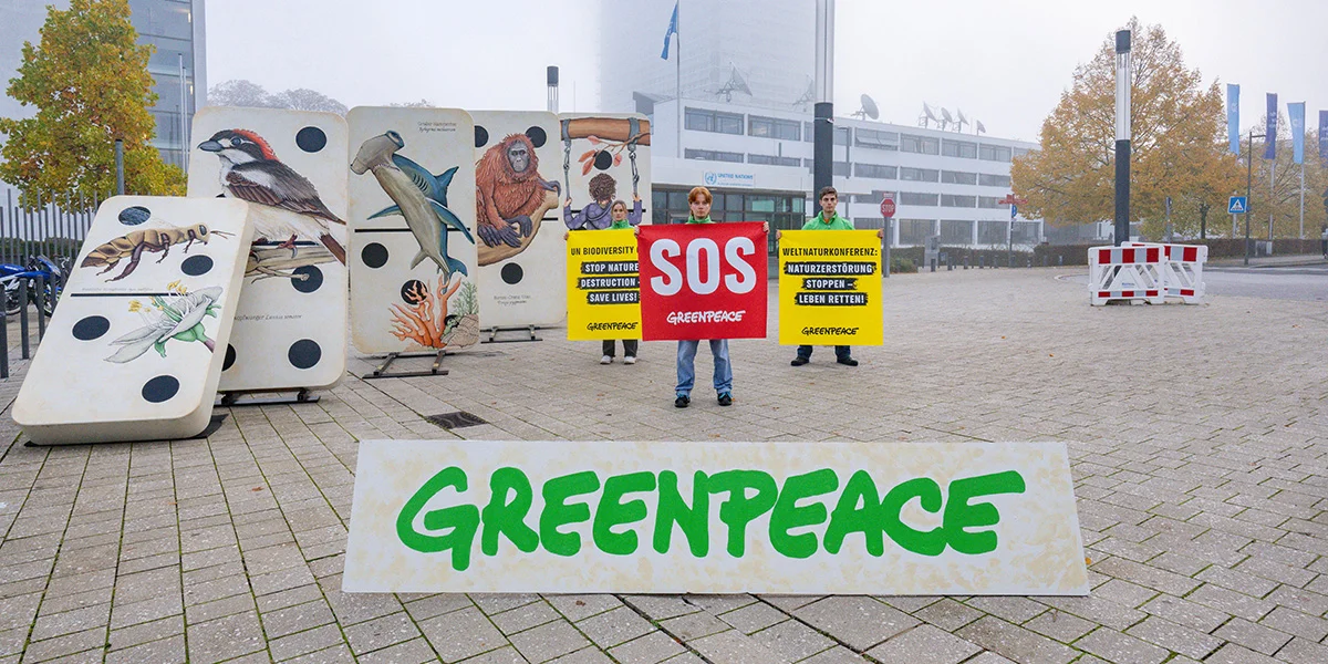 Greenpeace: Hëtzt an d'Dréchent kaschten déi däitsch Wirtschaft 36 Milliarden Euro  | © picture alliance/dpa | Benjamin Westhoff
