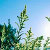 Positiv Entwécklung: Manner héich Buedem-Ozon-Wäerter | © unsplash