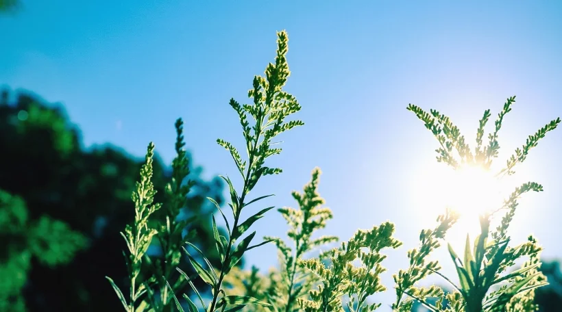 Méi propper Loft, manner Ozon | © unsplash