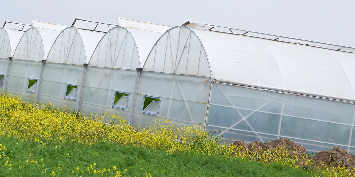 Gréng Luucht fir Finanzhëllefe fir de Bau vun Zärenhaiser | © Bigstock/Adil Celebiyev