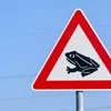 Moukewanderung | © Bigstock