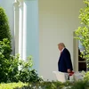 100 Deeg Donald Trump: Ee verfassungsrechtleche Bilan | © picture alliance / Consolidated News Photos | Yuri Gripas - Pool via CNP