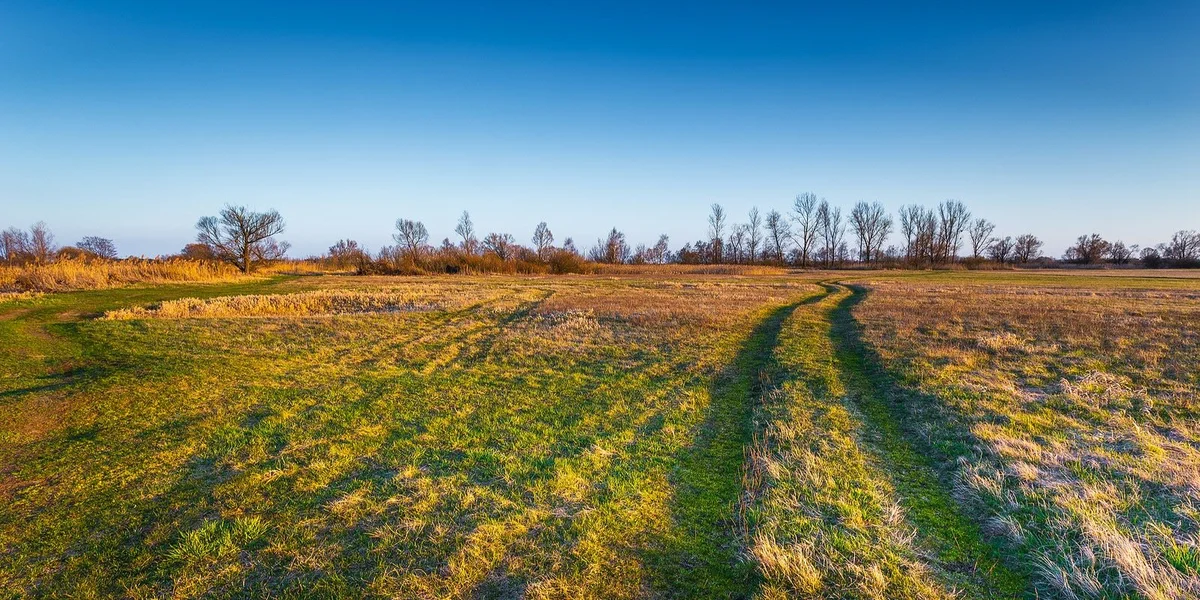 Formell Oppositioun vum Staatsrot géint de Gesetzesprojet "Zone verte bis" 