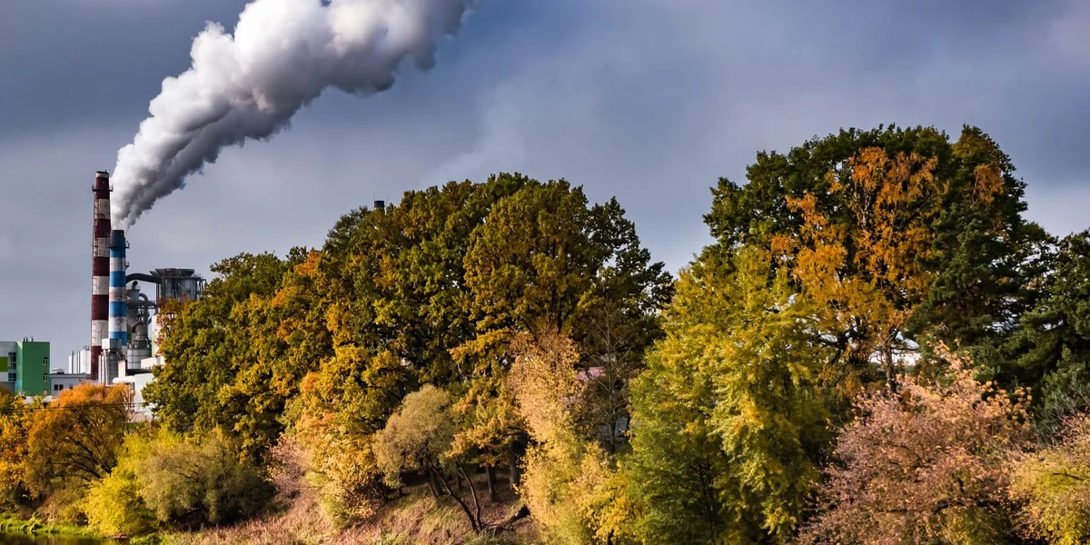 EEA-Ëmweltrapport: Vill Nohuelbedarf an alarmant Entwécklungen | © Bigstock