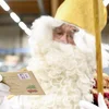 Iwwer 9.000 Kanner hunn dem Kleesche geschriwwen | © POST Luxembourg / Sophie Margue