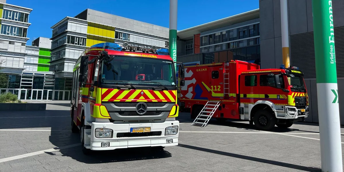 Tëschefall zu House bei der Sportshal: Eichenprozessionsspinner war wuel d'Ursaach | © Jo Welfringer