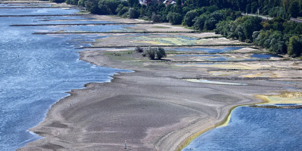 Däitsch Bunn wëllt 400 Gidderween asetze fir ronn 100 Banneschëffer ze ersetzen | © EPA/RONALD WITTEK