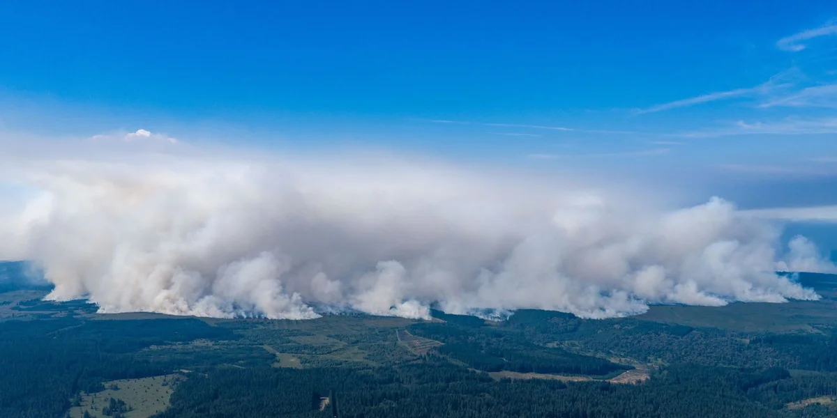 Gréisste Bëschbrand an der belscher Geschicht: Eelef Lëtzebuerger Pompjeeë rëm doheem | © picture alliance/dpa | Christoph Reichwein