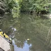 Dréchene Summer: Waasserstänn nach ëmmer aussergewéinlech niddereg | © Chris Meisch
