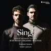Songs without words