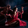 Wéi kann een eng Operefigur nei interpretéieren?