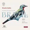 Preludes and Dances from Brazil | © Eudora