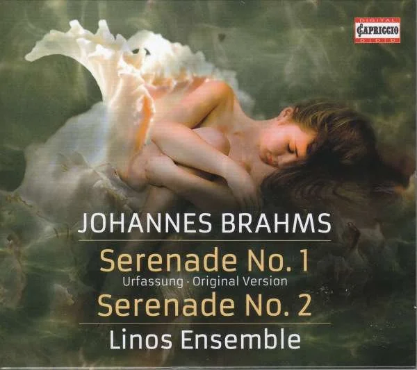 Sérénade Nr.2 a La Majeur, Op. 16, V. Rondo. Allegro