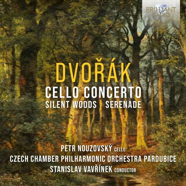 Serenade fir Sträicher a Mi Majeur, Op. 22, V. Finale. Allegro Vivace