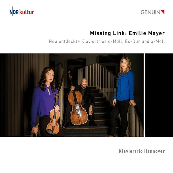Trio a Re Mineur fir Piano, Gei an Cello, IV. Finale, Allegro