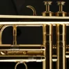D'Blosinstrumenter an hir Dynamik